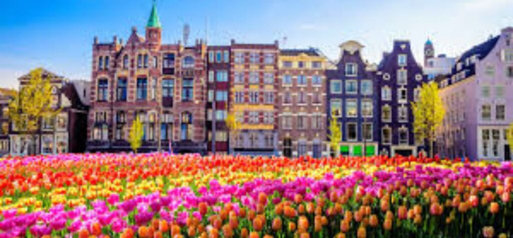 Copa Airlines Amsterdam Office in Netherlands